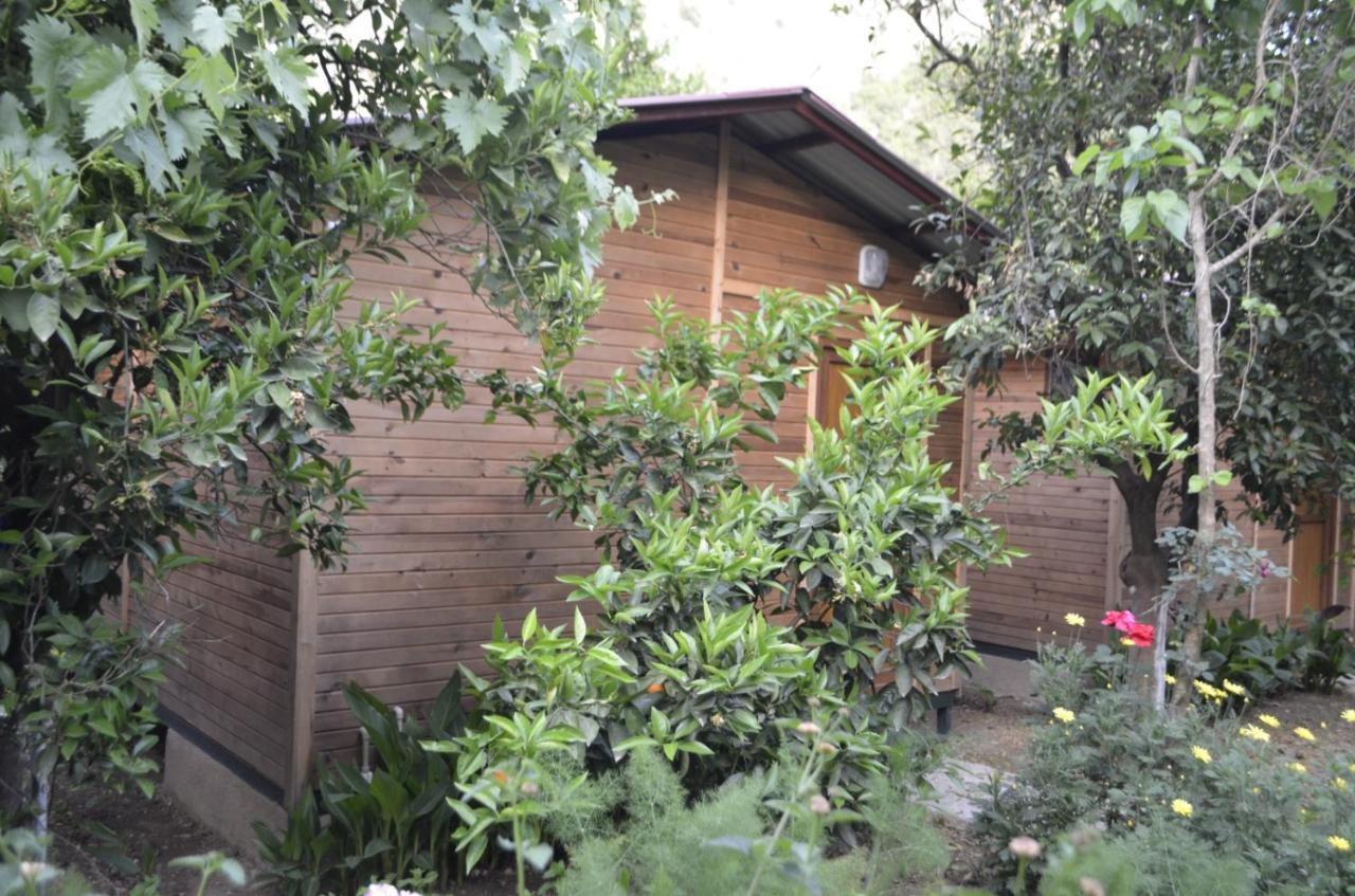 Mercan Pension Olympos Exterior foto