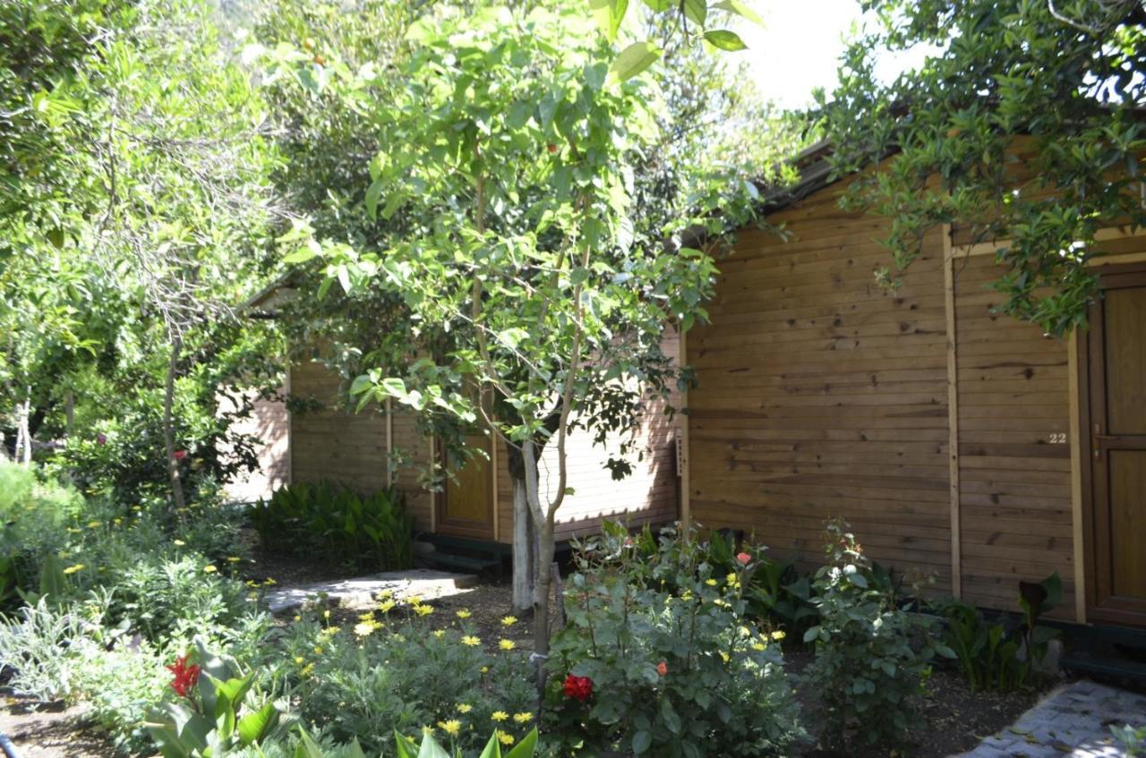 Mercan Pension Olympos Exterior foto