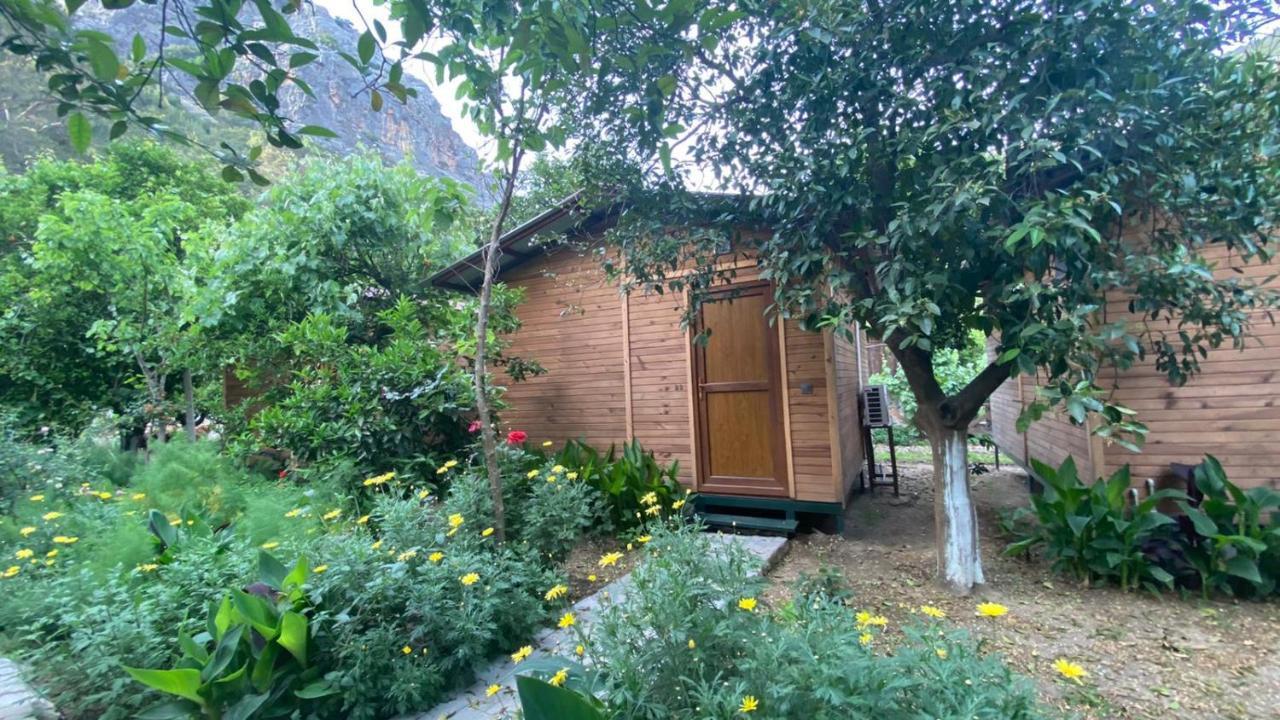 Mercan Pension Olympos Exterior foto