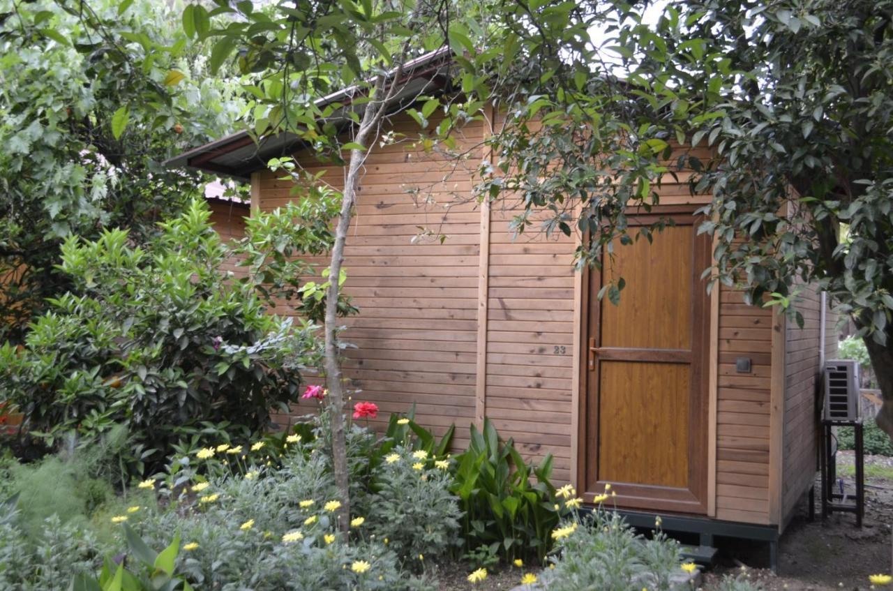 Mercan Pension Olympos Exterior foto