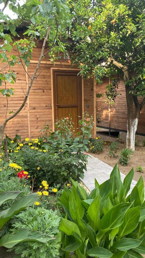 Mercan Pension Olympos Exterior foto