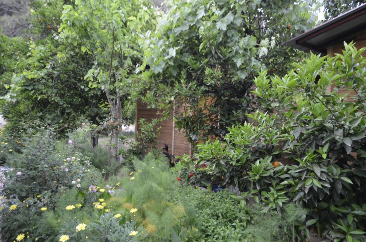 Mercan Pension Olympos Exterior foto