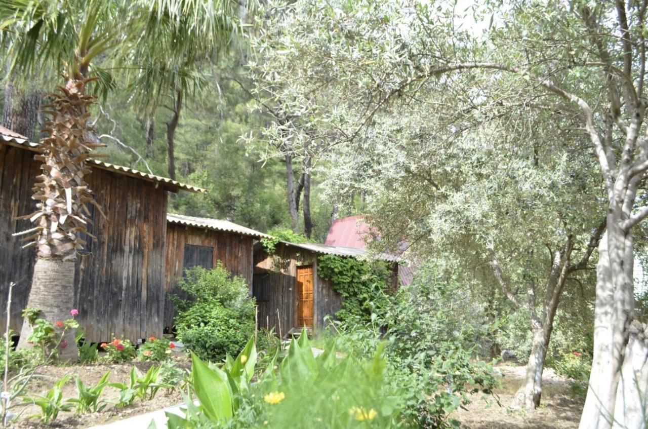 Mercan Pension Olympos Exterior foto