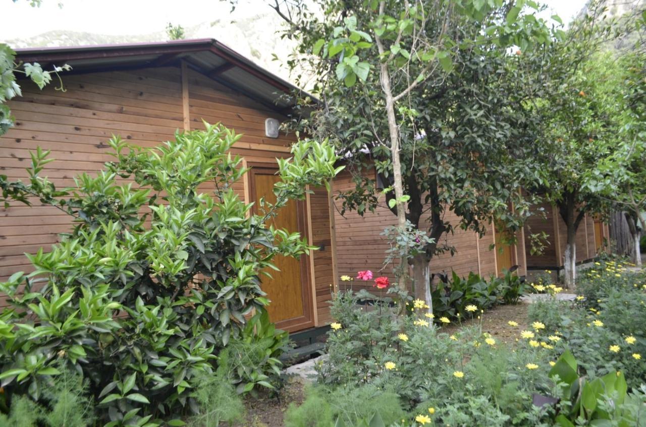Mercan Pension Olympos Exterior foto