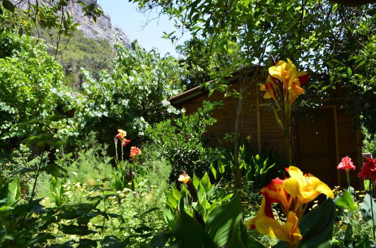 Mercan Pension Olympos Exterior foto