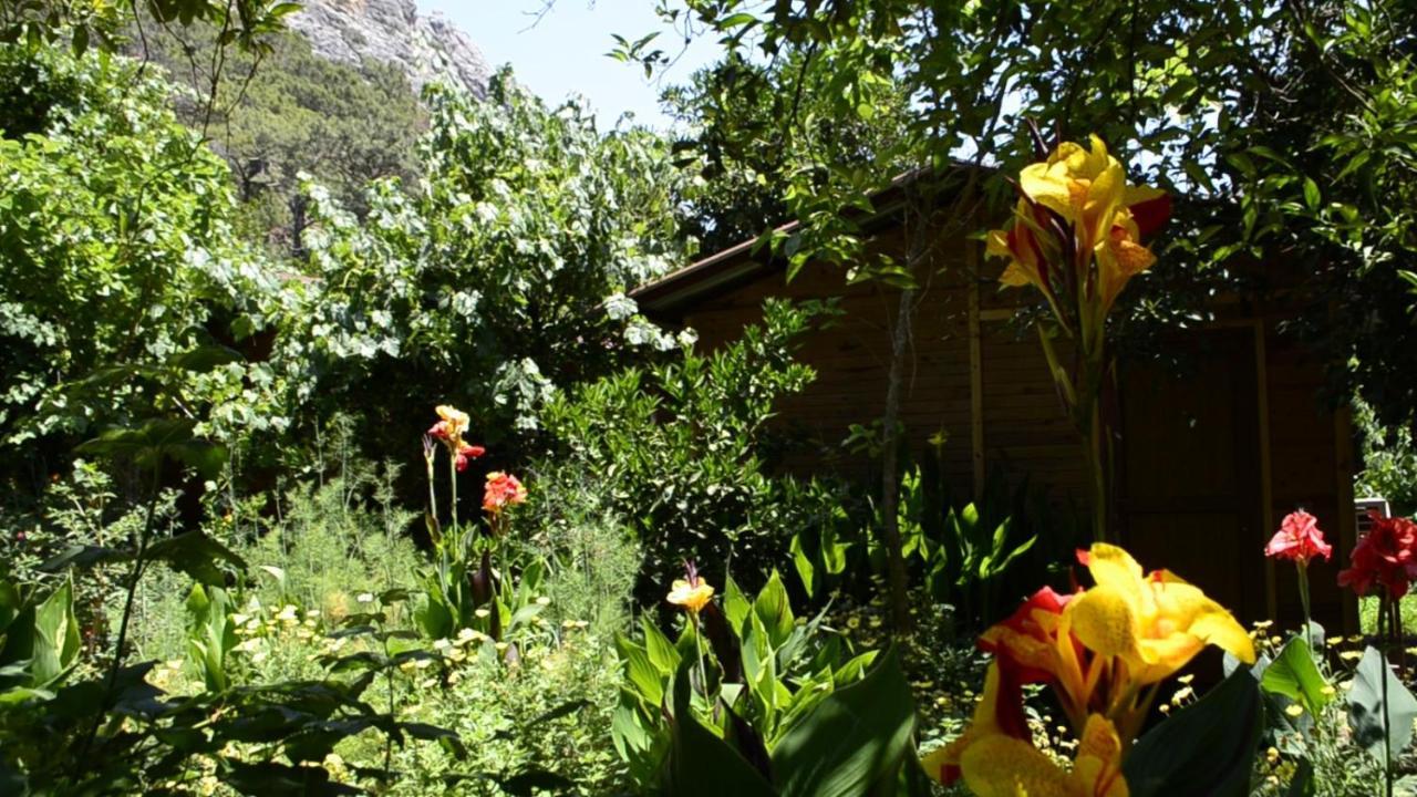 Mercan Pension Olympos Exterior foto