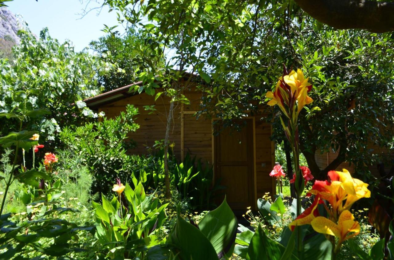 Mercan Pension Olympos Exterior foto