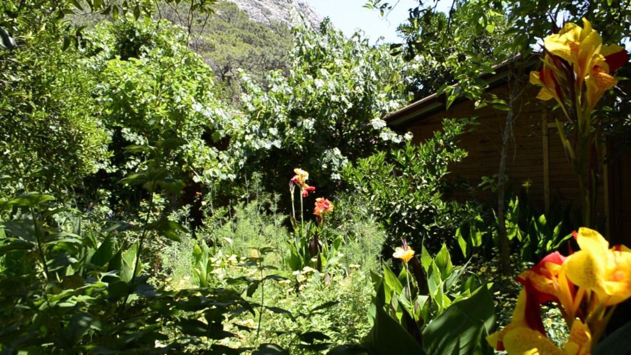 Mercan Pension Olympos Exterior foto
